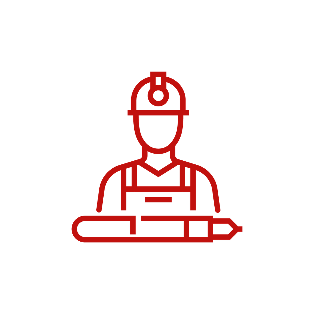 Employment Authorization